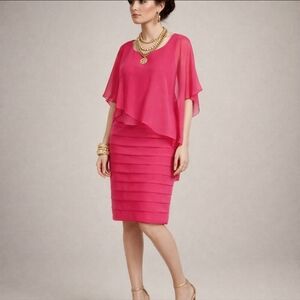 Adrianna Papell Gardenia Pink Pleated knit Party Chiffon Overlay Dress Sz 4